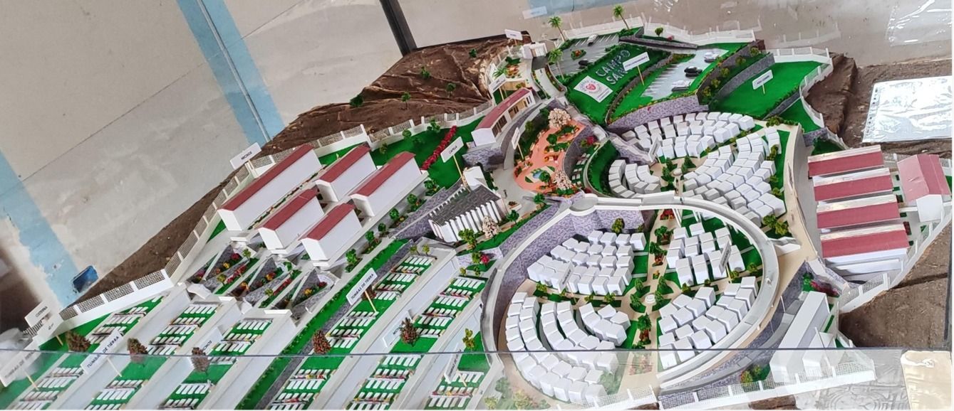 Odoo • Texto e imagen